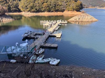 令和8年2月3日時点の様子