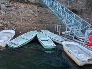 令和8年2月3日時点の様子3