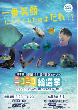 ニコニコ総選挙