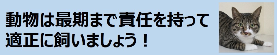 動物の適正飼養啓発